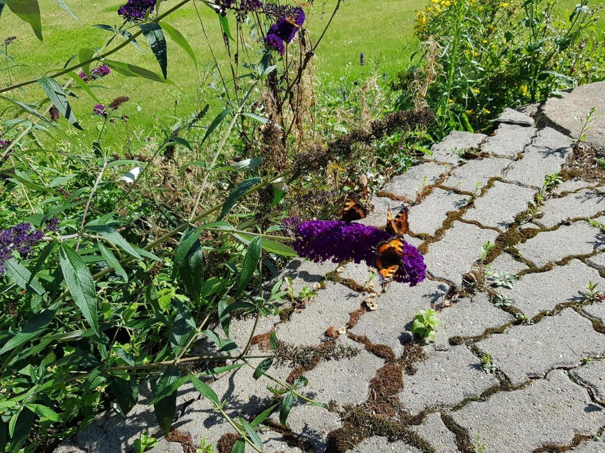 Kyndestoft Bed&Breakfast Holstebro Exterior foto